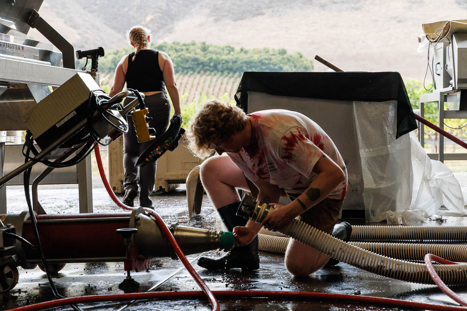 20250923-7456-web Knox & Isabelle Clendenen working hard during the 2025 harvest